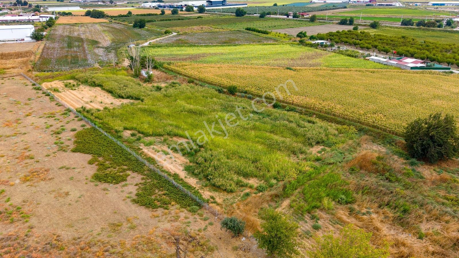 Menemen Ulukent'te Satılık Tarla — fotoğraf 16