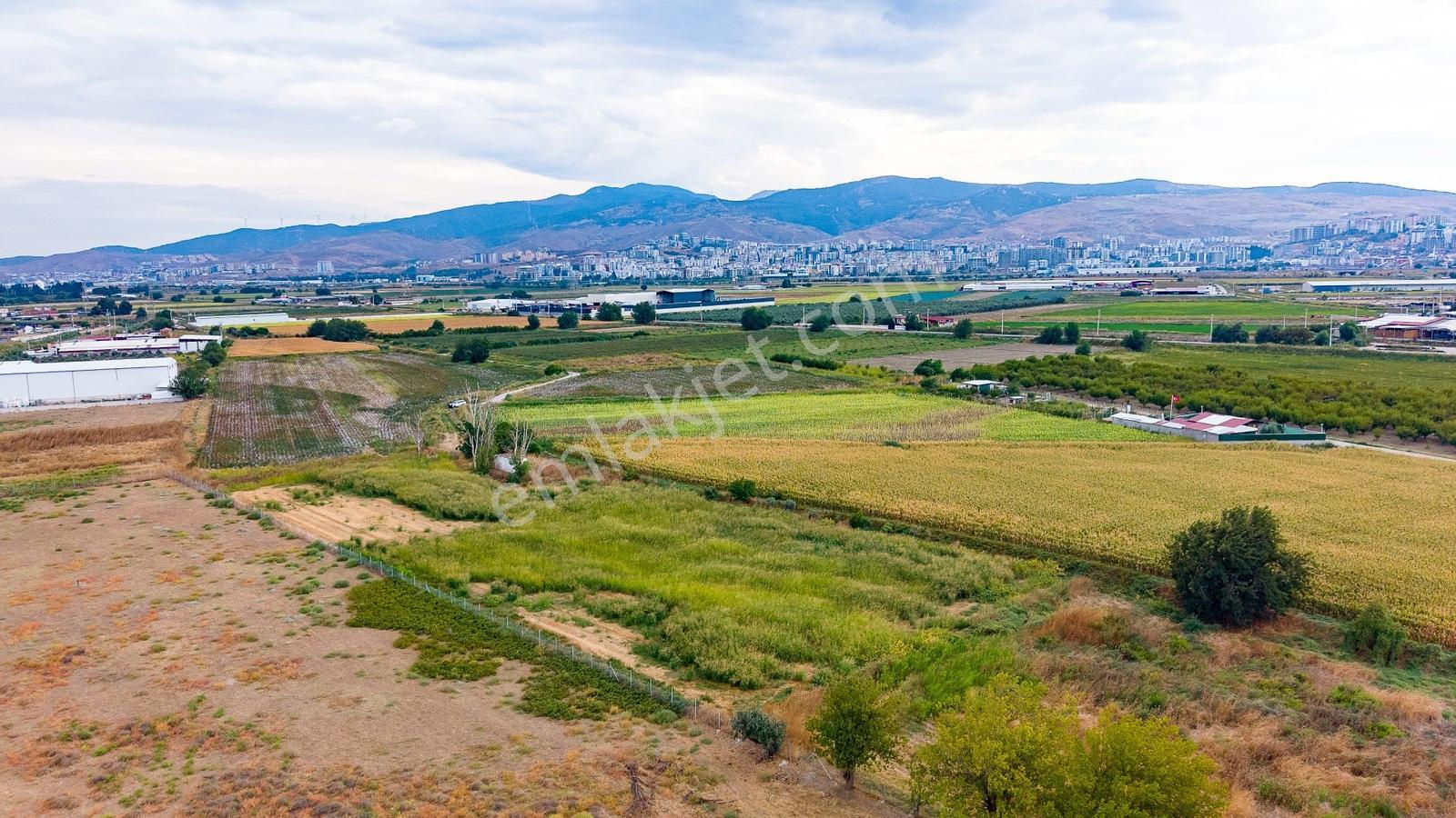 Menemen Ulukent'te Satılık Tarla — fotoğraf 18