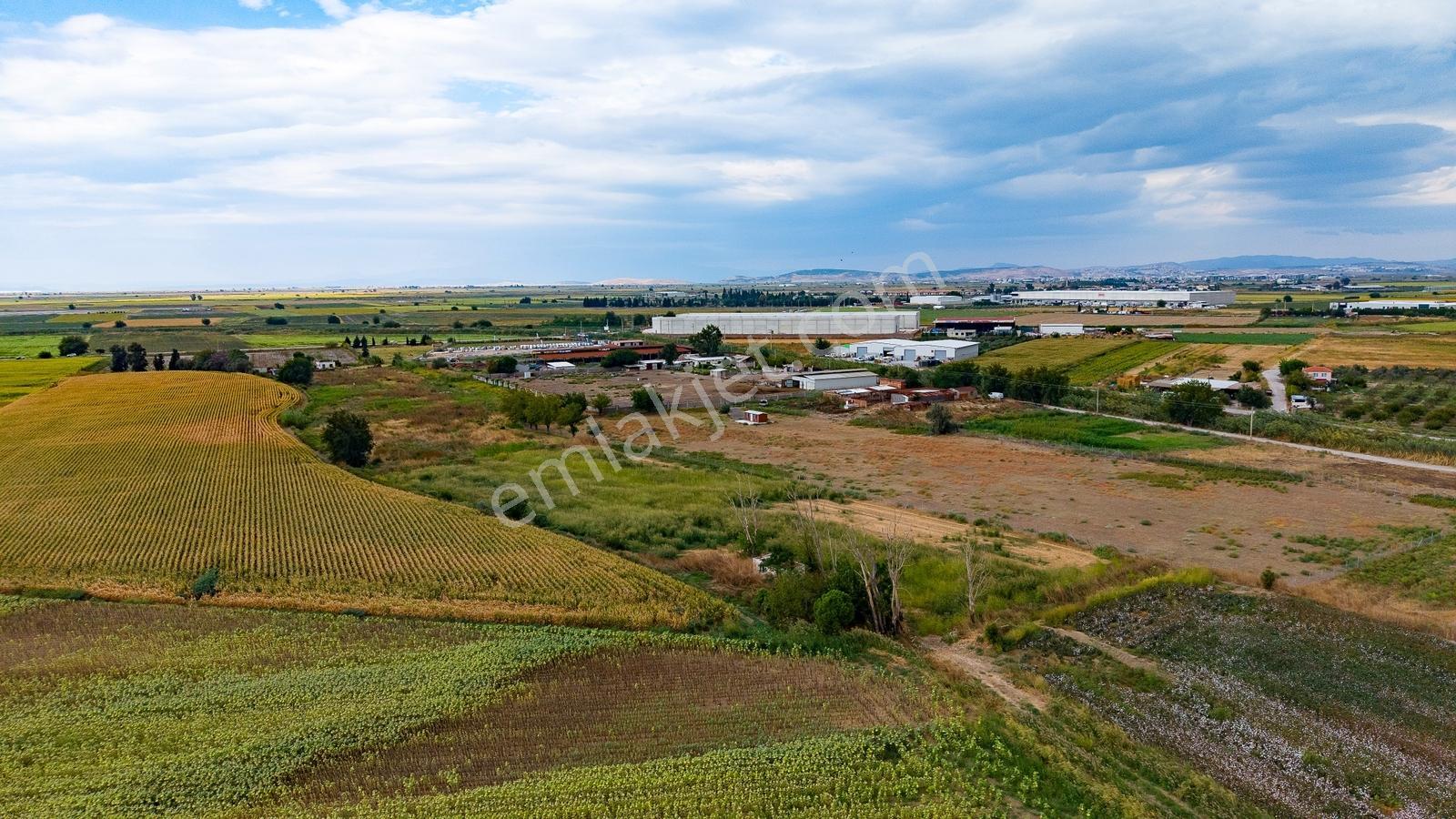 Menemen Ulukent'te Satılık Tarla — fotoğraf 28