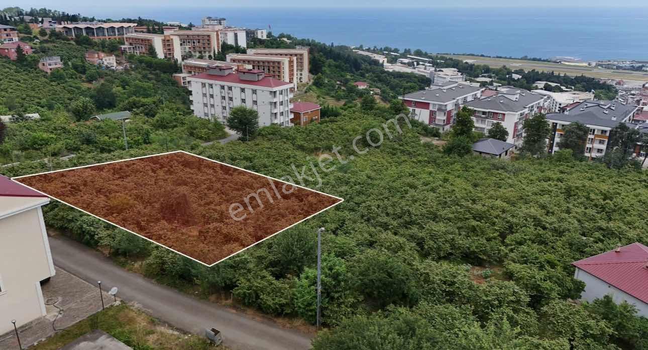 Royal'den Trabzon Konaklarda Satılık İmarlı Arsa — fotoğraf 2