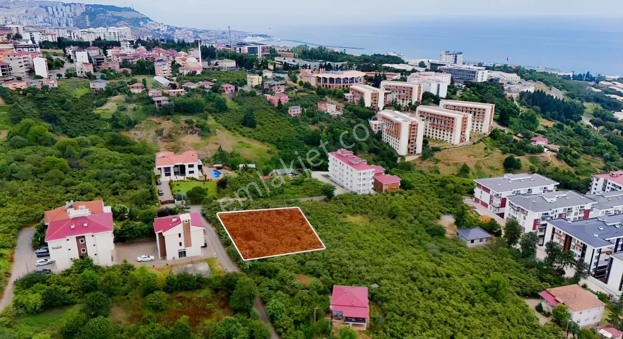 Royal'den Trabzon Konaklarda Satılık İmarlı Arsa — fotoğraf 5