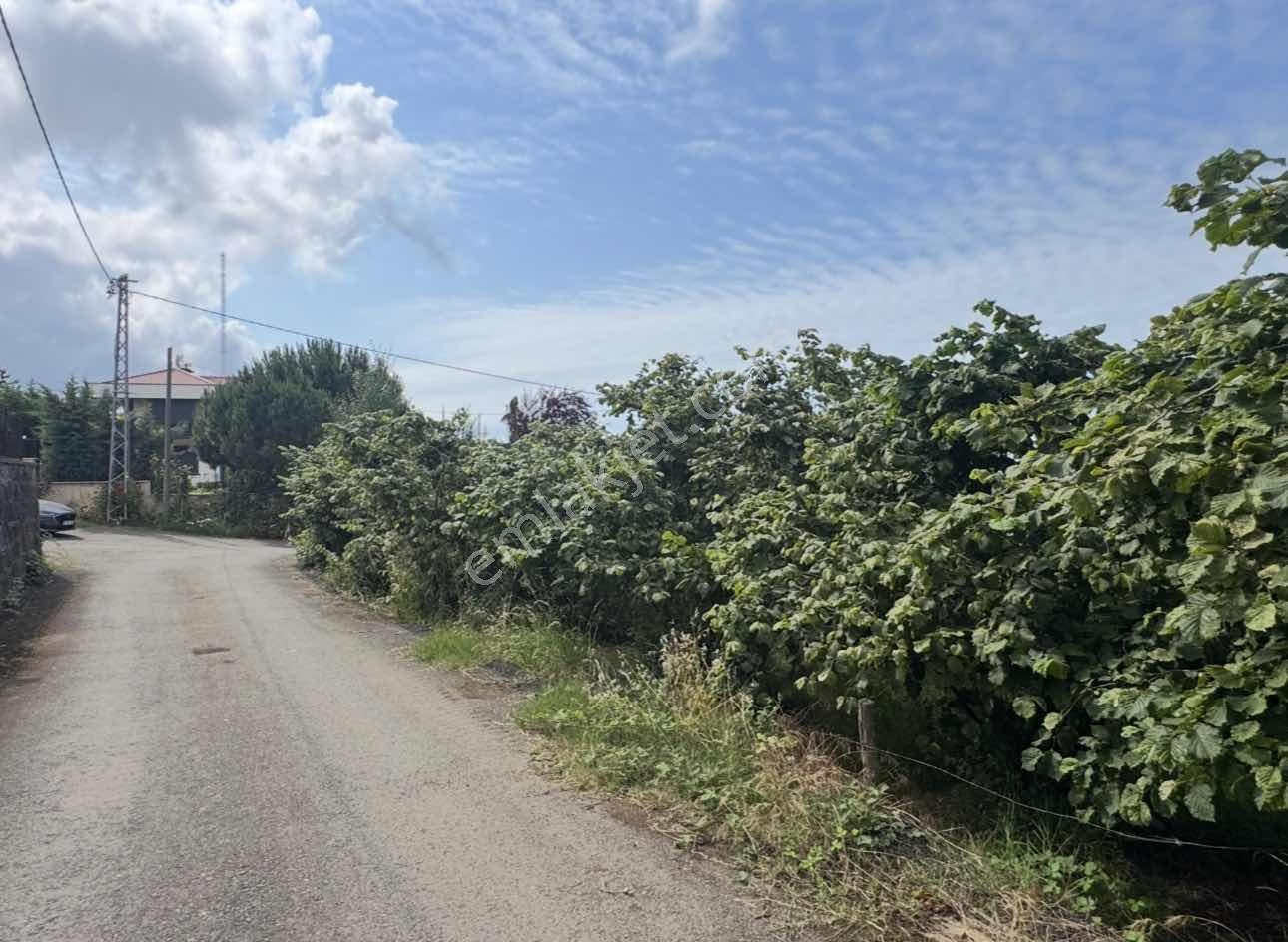 Royal'den Trabzon Konaklarda Satılık İmarlı Arsa — fotoğraf 9