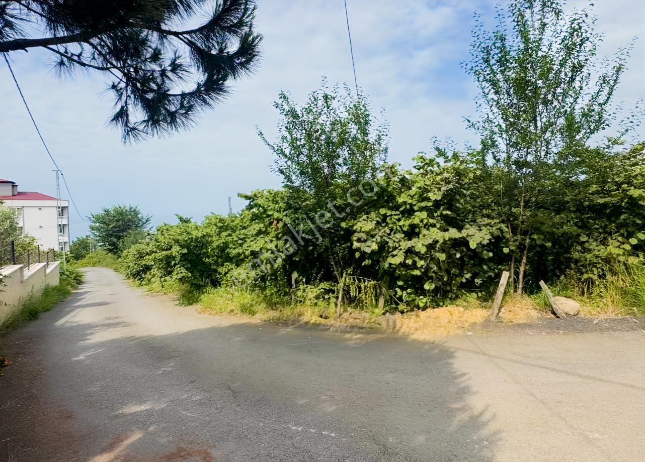 Royal'den Trabzon Konaklarda Satılık İmarlı Arsa — fotoğraf 10