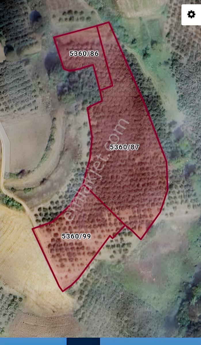 Sakarya/Adapazarı/Işıklar'Da 12.163M² Satılık Tarla — fotoğraf 6
