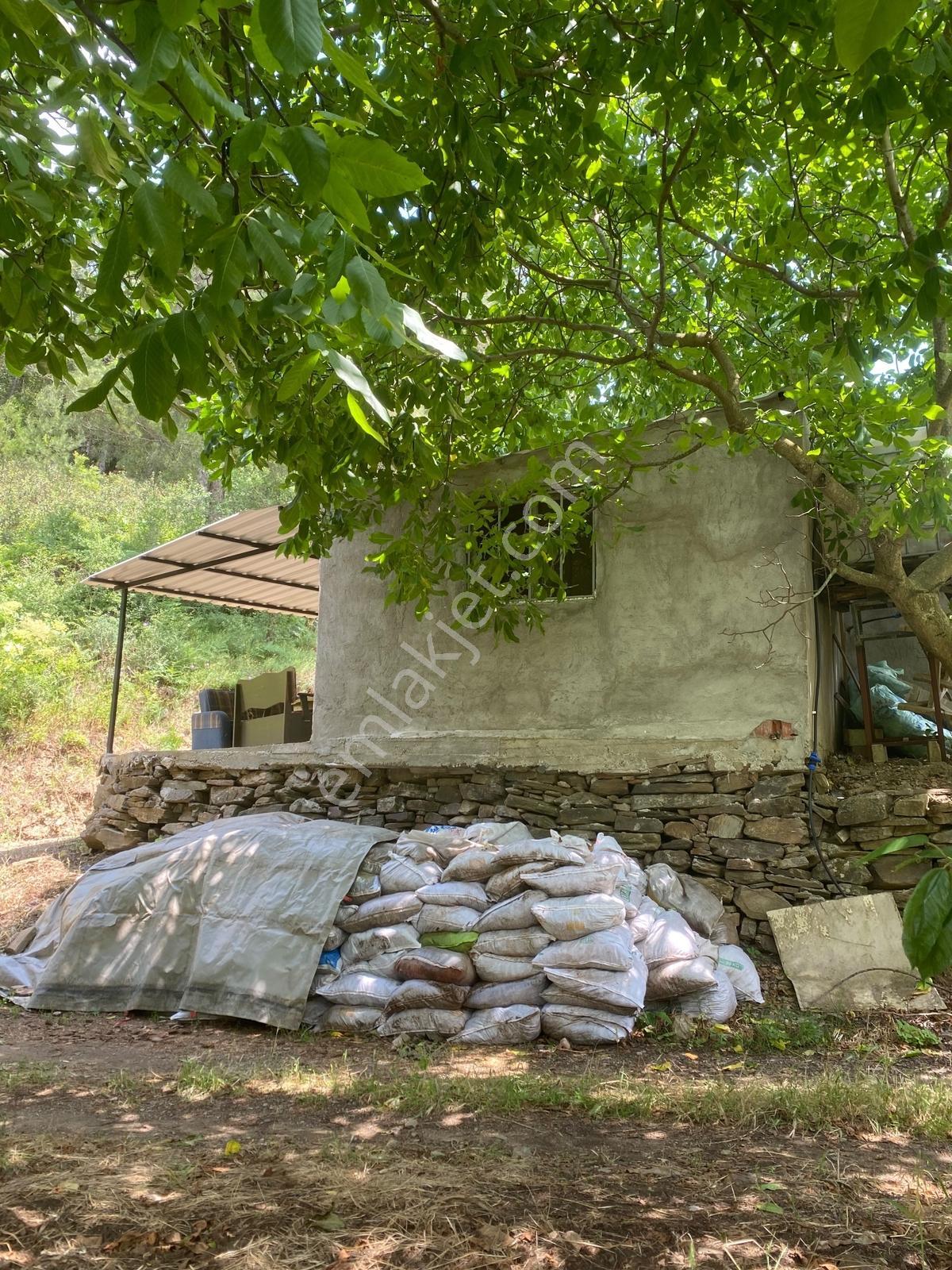 Kemalpaşa Yenikurudere Mahallesinde Satılık Kiraz Bahçesi — fotoğraf 22