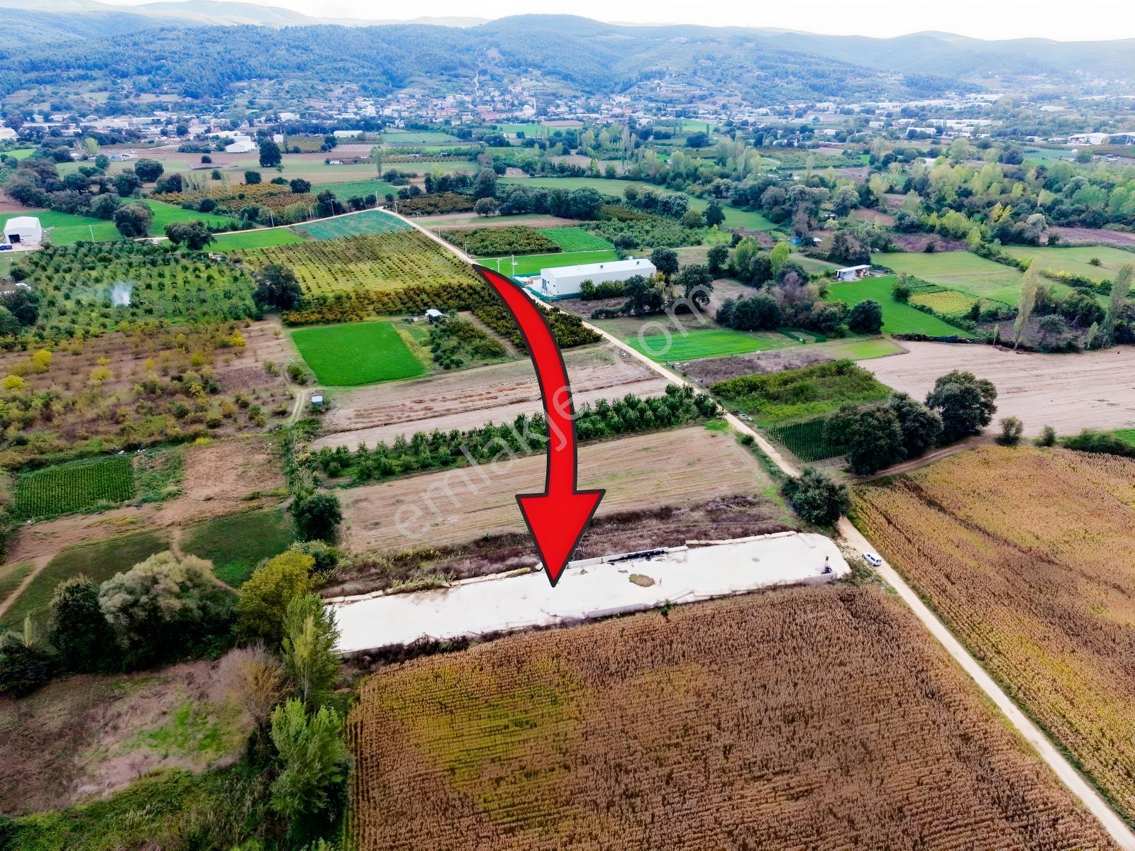 Nilüfer Tahtalı 1.763m² Resmi Yola Cepheli Satılık Arazi — fotoğraf 4
