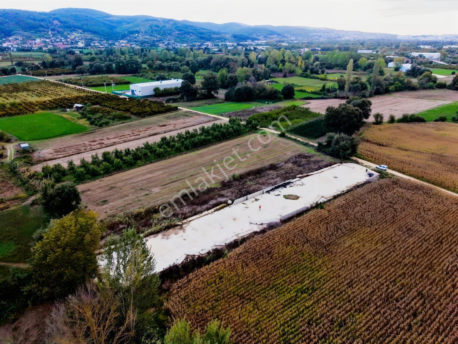 Nilüfer Tahtalı 1.763m² Resmi Yola Cepheli Satılık Arazi — fotoğraf 5