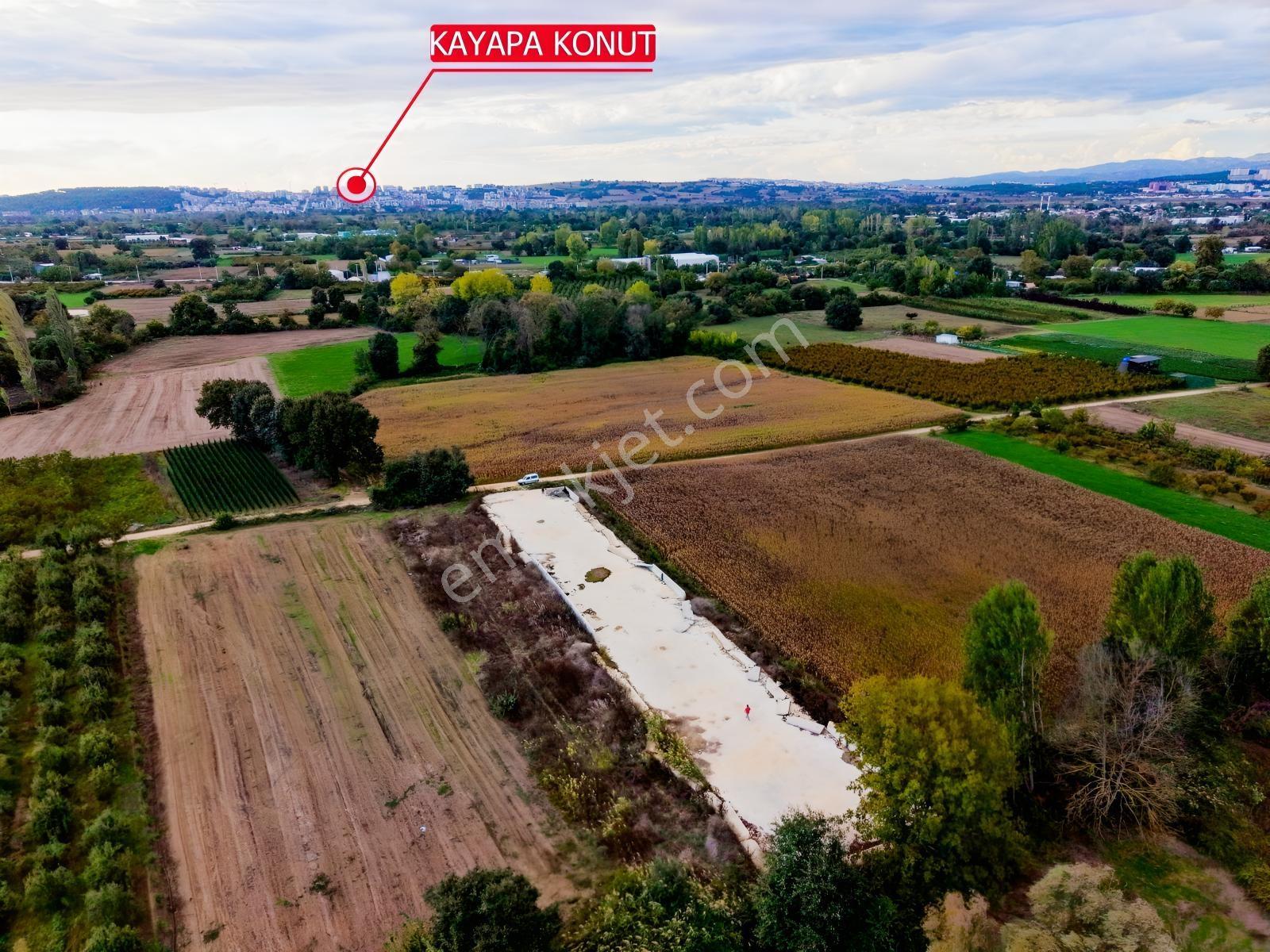 Nilüfer Tahtalı 1.763m² Resmi Yola Cepheli Satılık Arazi — fotoğraf 6
