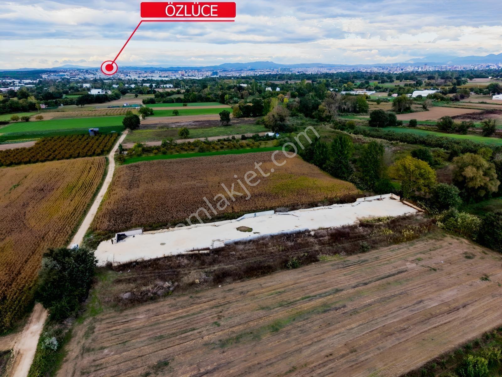 Nilüfer Tahtalı 1.763m² Resmi Yola Cepheli Satılık Arazi — fotoğraf 8