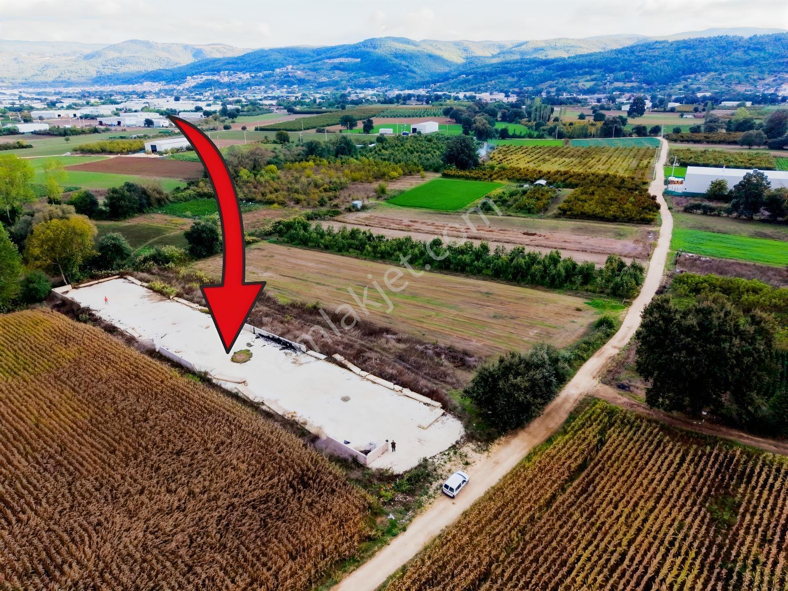 Nilüfer Tahtalı 1.763m² Resmi Yola Cepheli Satılık Arazi — fotoğraf 10