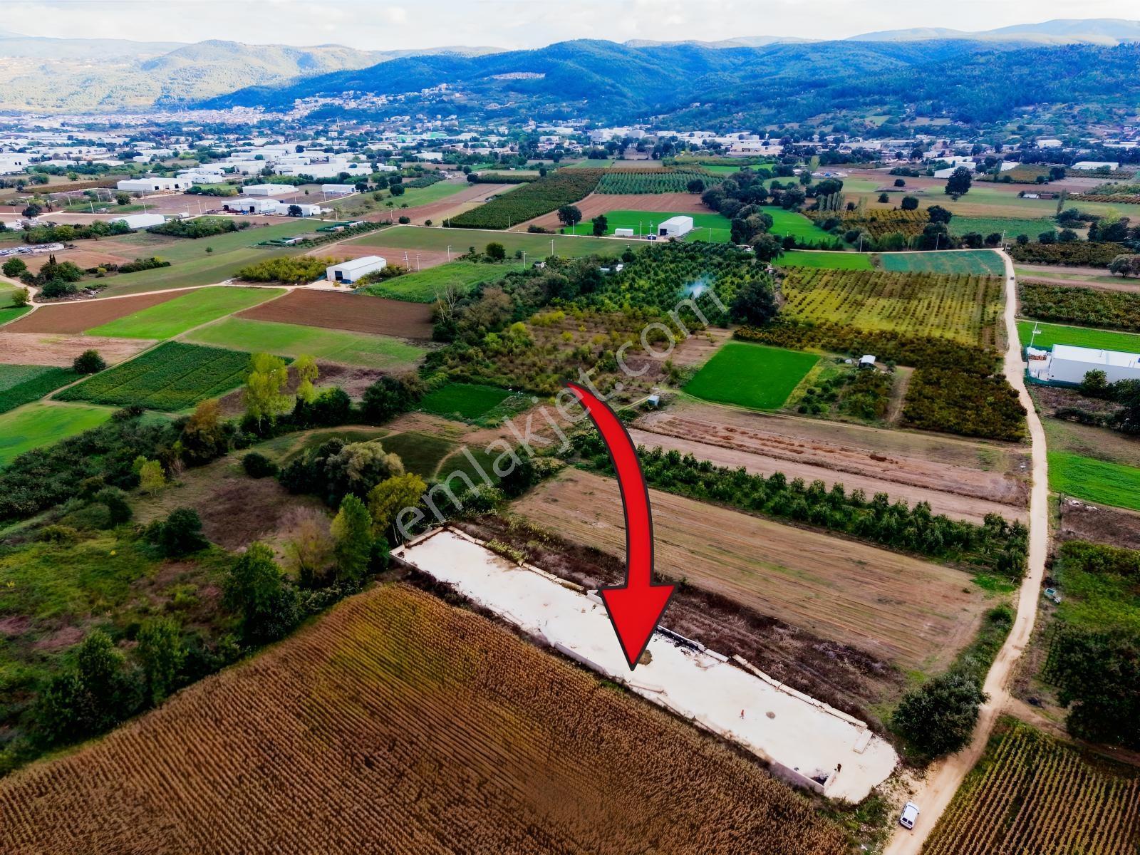 Nilüfer Tahtalı 1.763m² Resmi Yola Cepheli Satılık Arazi — fotoğraf 11