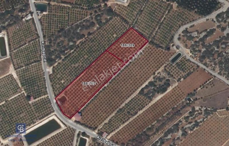 Mersin Erdemli Ayaş'Ta Deniz Manzaralı 10.000 M2 Limon Bahçesi
