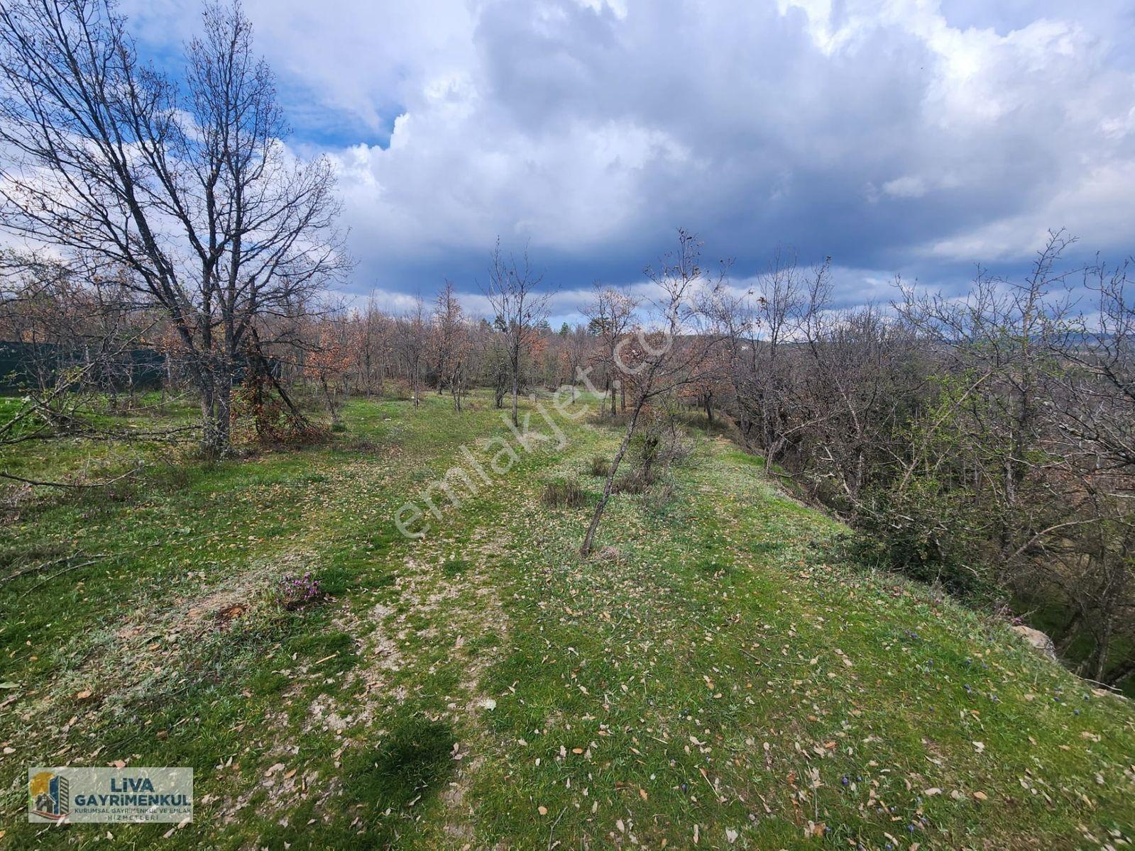 Safranbolu Yazıköyde 16146 M² Satılık Bahçe,