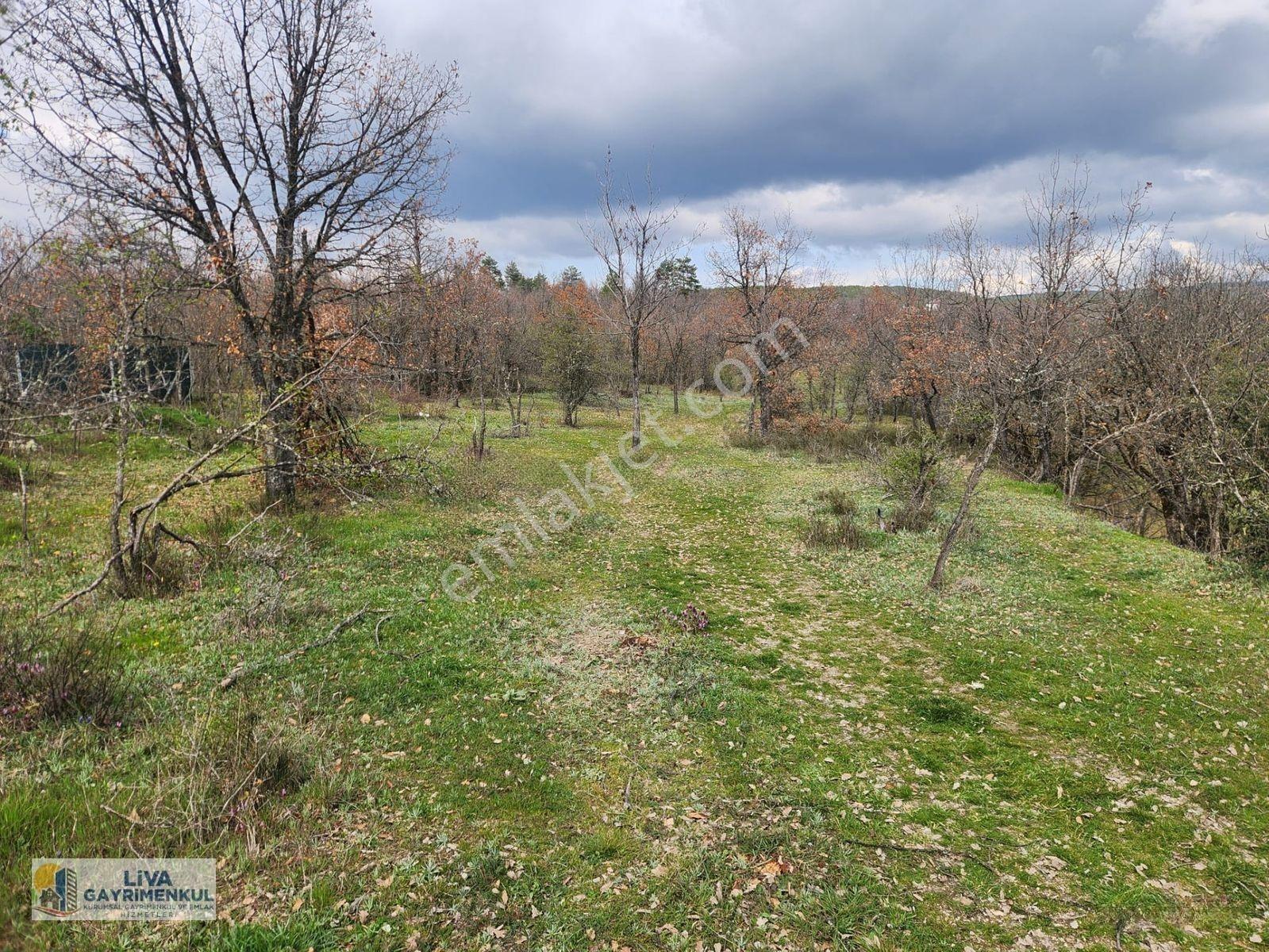 Safranbolu Yazıköyde 16146 M² Satılık Bahçe, — fotoğraf 3