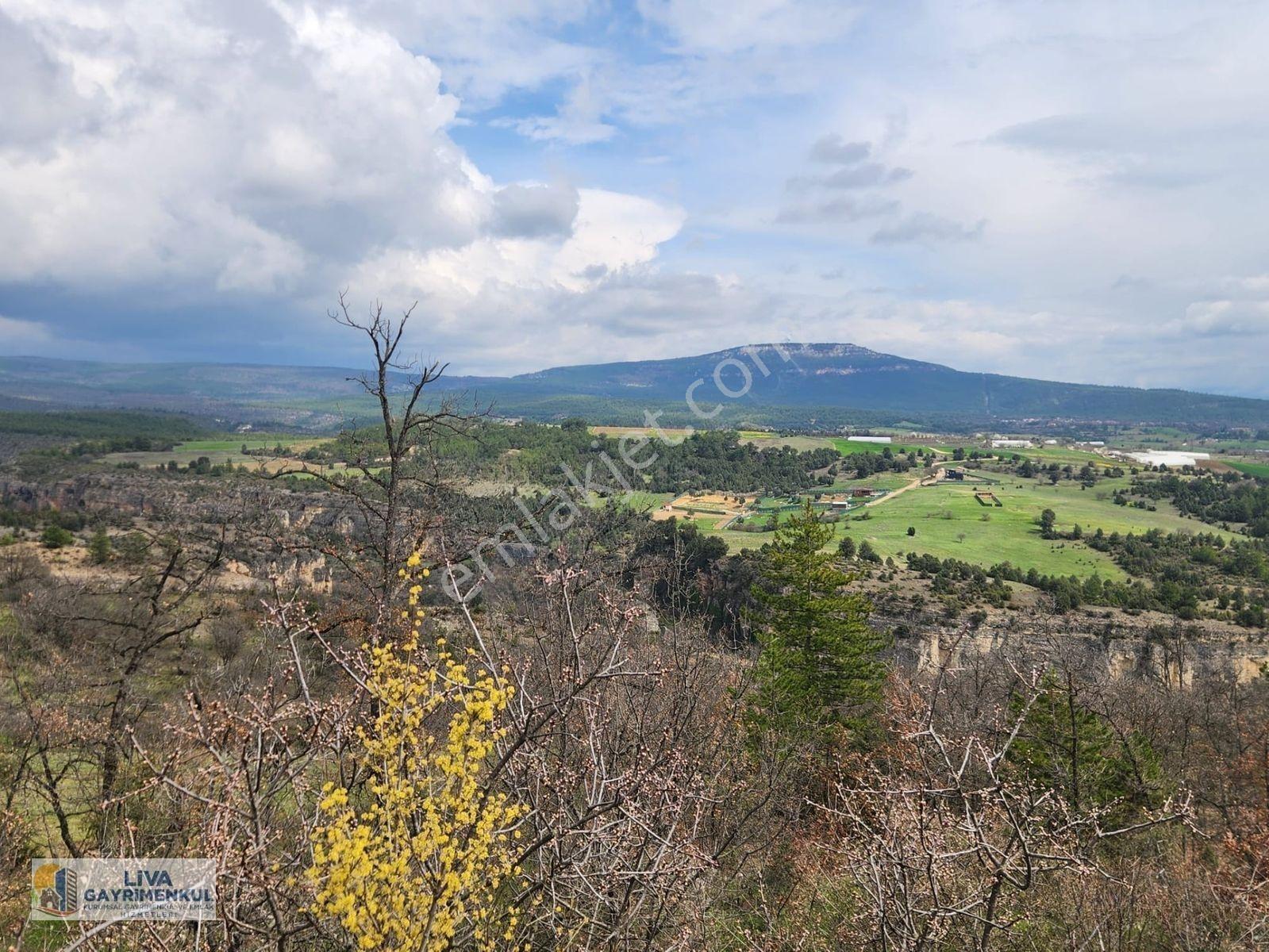Safranbolu Yazıköyde 16146 M² Satılık Bahçe, — fotoğraf 4