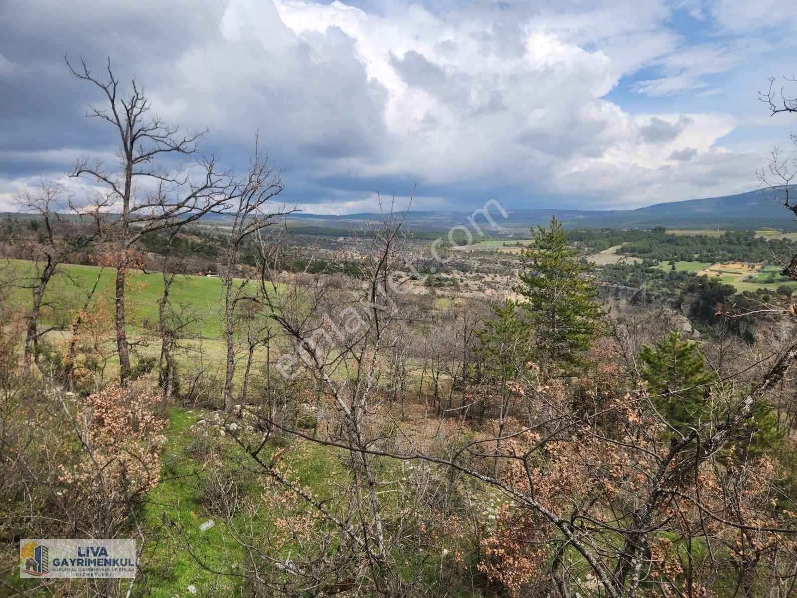 Safranbolu Yazıköyde 16146 M² Satılık Bahçe, — fotoğraf 5