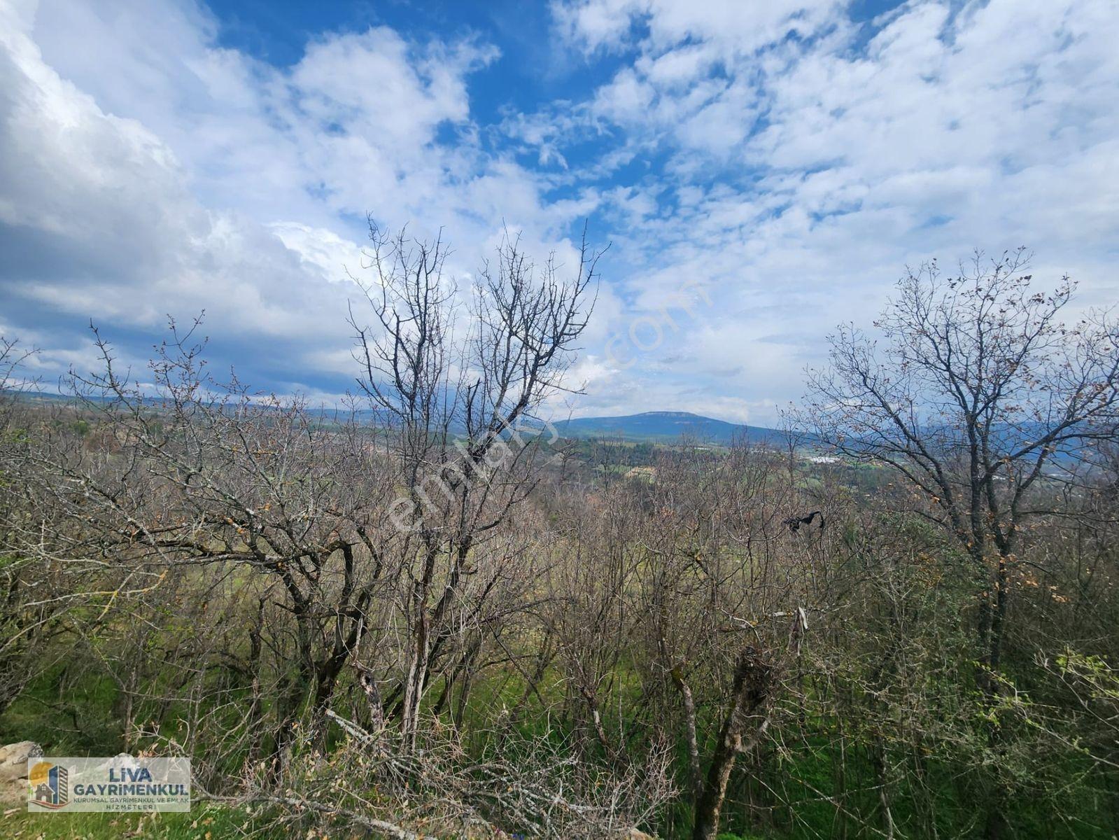 Safranbolu Yazıköyde 16146 M² Satılık Bahçe, — fotoğraf 8