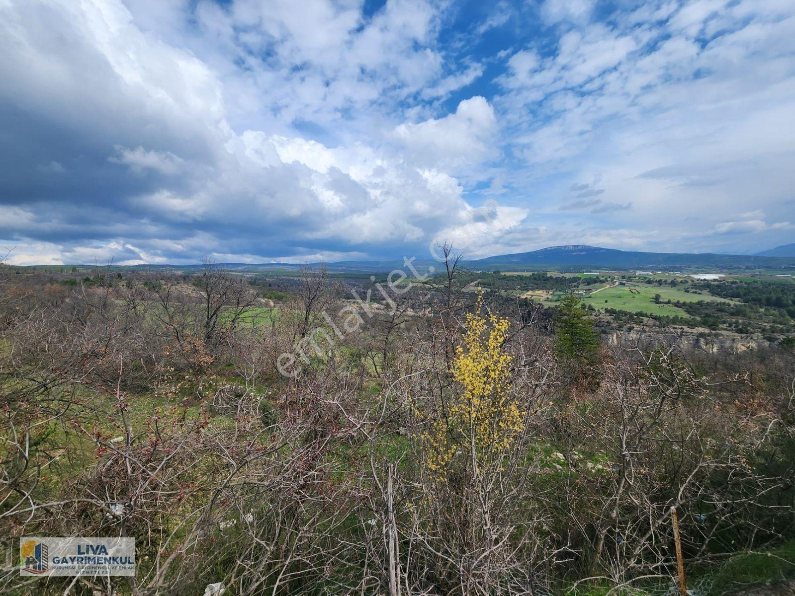 Safranbolu Yazıköyde 16146 M² Satılık Bahçe, — fotoğraf 9