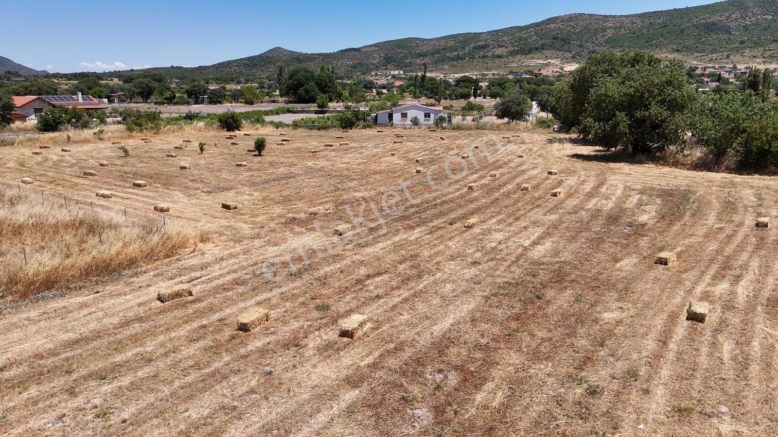 Urla Barbaros Köyü | Ana Yola Cepheli Yatırım Değeri Yük. Arazi — fotoğraf 10
