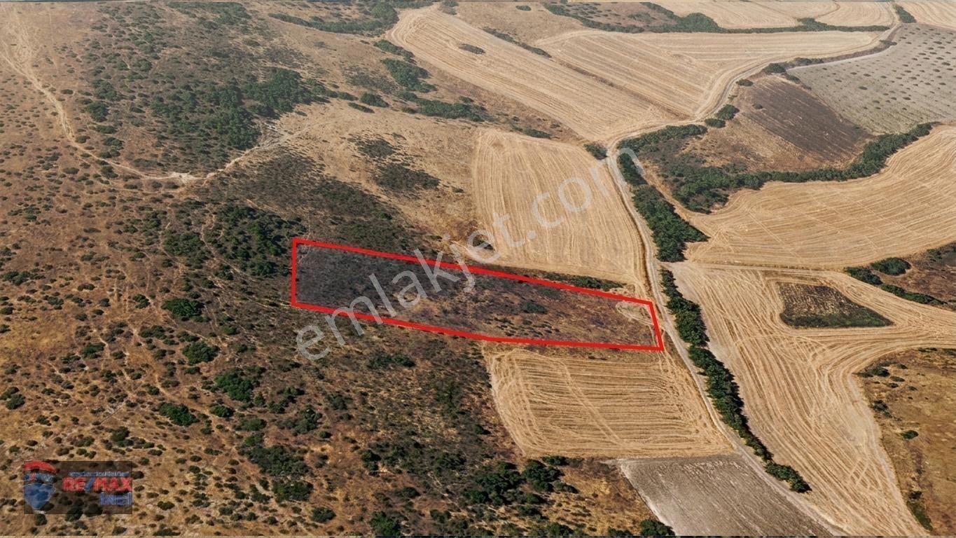 Re/max İnci'den Balıkesir Altıeylül Pamukçu’da 4.754 M² Satılık Tarla — fotoğraf 24