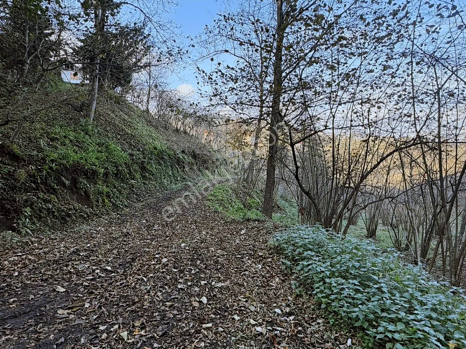 Trabzon Kavala'Da Satılık Fırsat Arazi