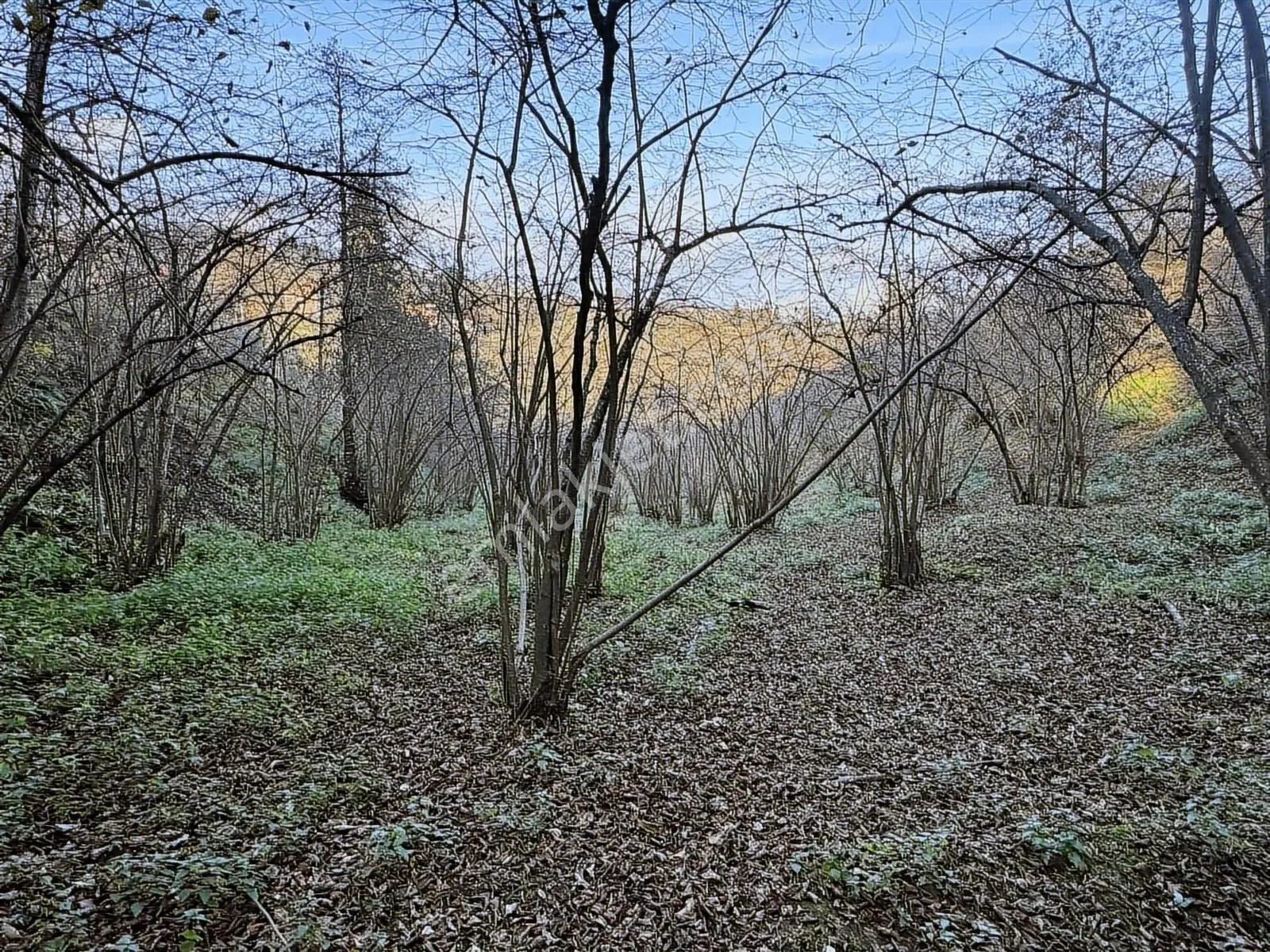 Trabzon Kavala'da Satılık Fırsat Arazi — fotoğraf 9