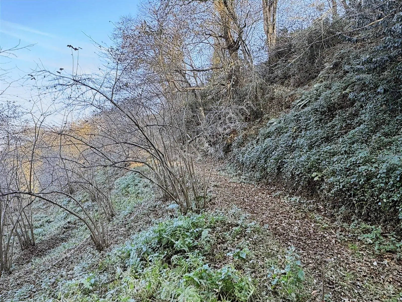 Trabzon Kavala'da Satılık Fırsat Arazi — fotoğraf 12