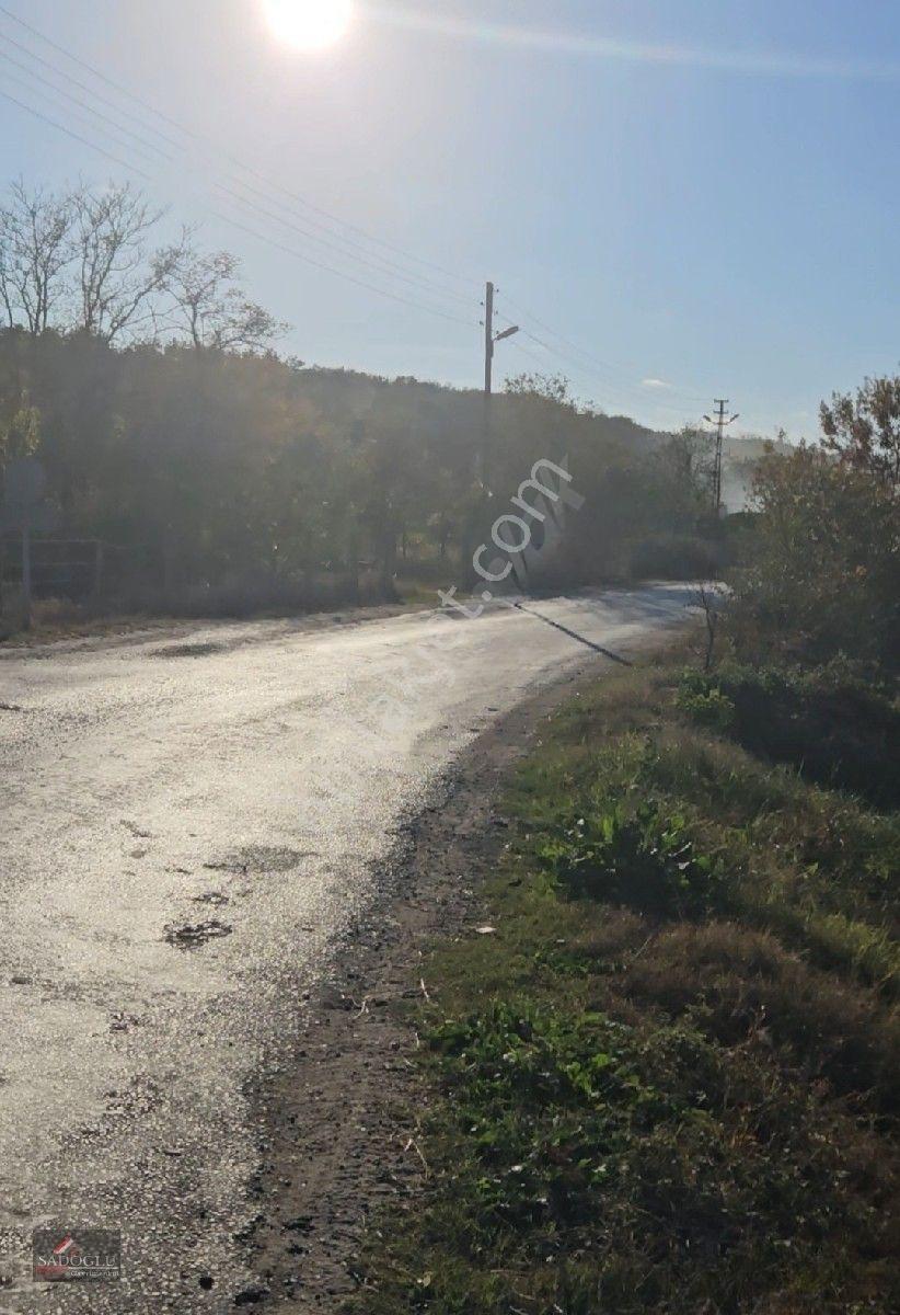 Pehlivanköy Akarca'da Satılık Arsa 1.500 M2 — fotoğraf 7