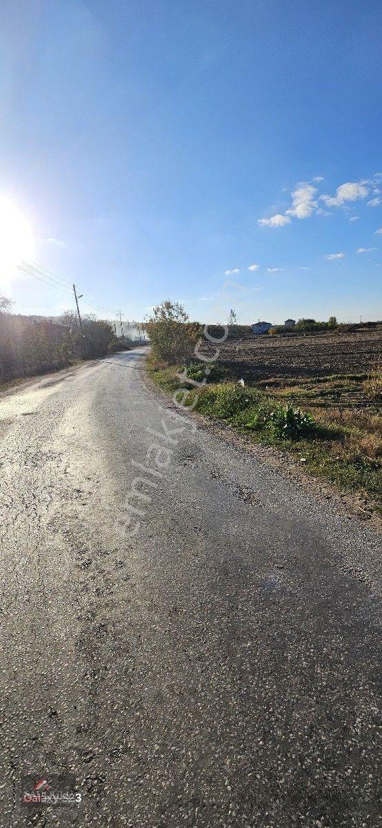 Pehlivanköy Akarca'da Satılık Arsa 1.500 M2 — fotoğraf 10
