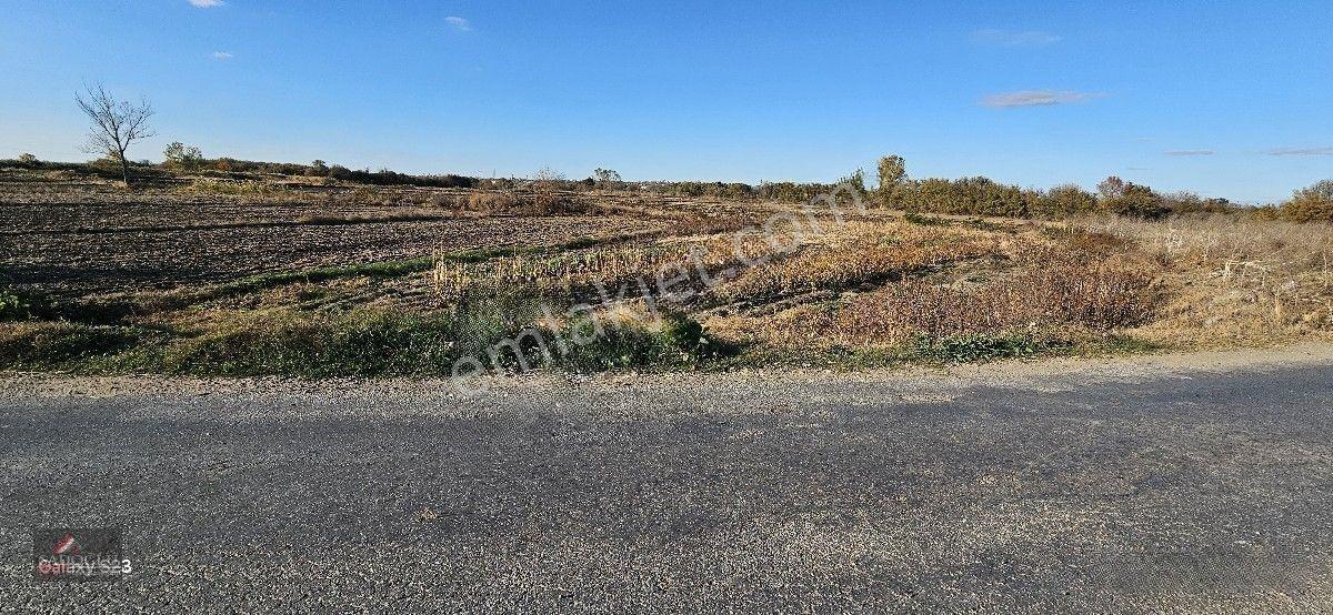 Pehlivanköy Akarca'da Satılık Arsa 1.500 M2 — fotoğraf 13