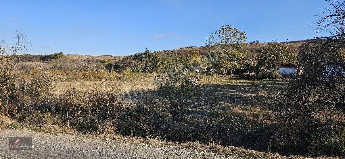 Pehlivanköy Akarca'da Satılık Arsa 1.500 M2 — fotoğraf 16