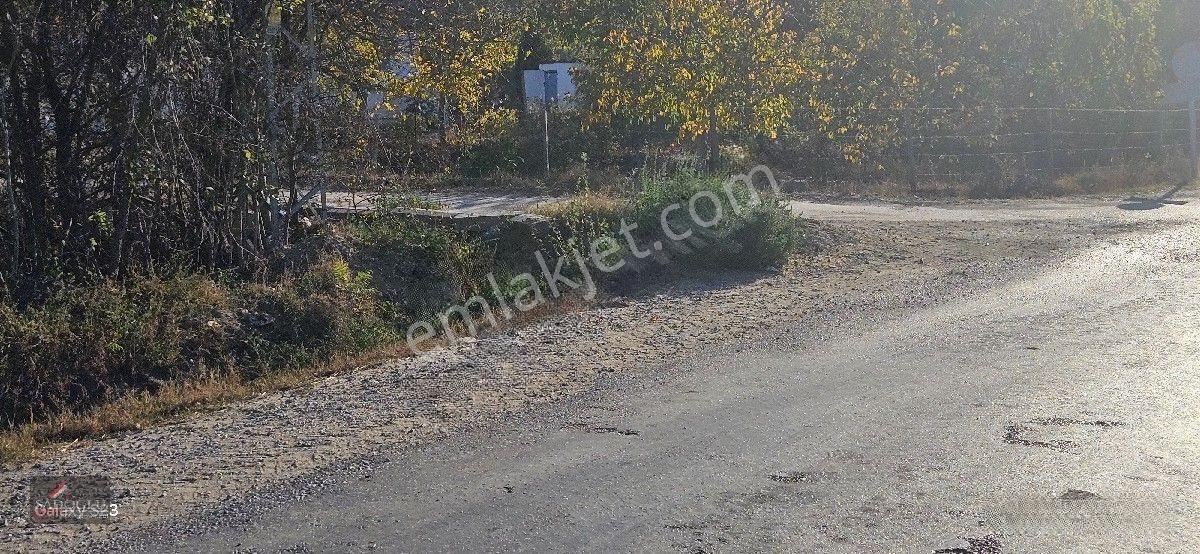 Pehlivanköy Akarca'da Satılık Arsa 1.500 M2 — fotoğraf 20