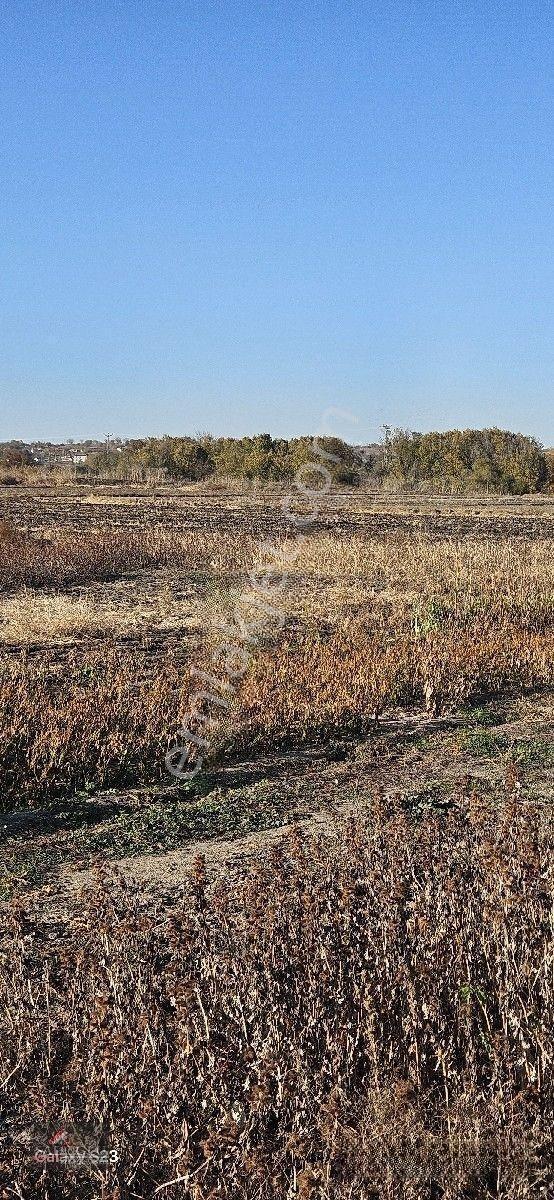 Pehlivanköy Akarca'da Satılık Arsa 1.500 M2 — fotoğraf 21