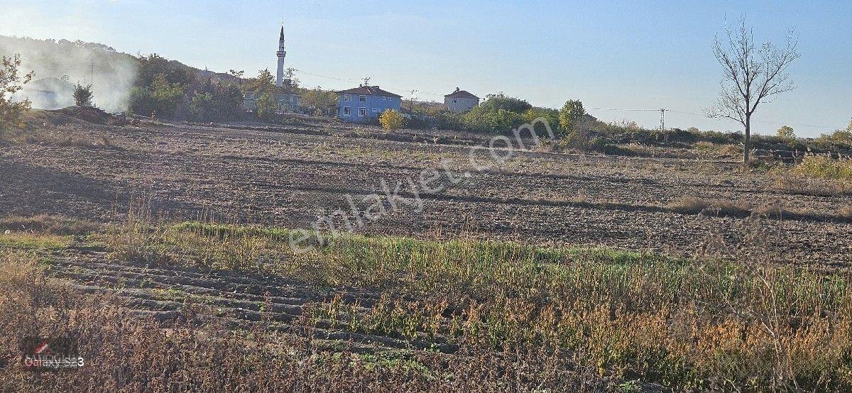 Pehlivanköy Akarca'da Satılık Arsa 1.500 M2 — fotoğraf 22