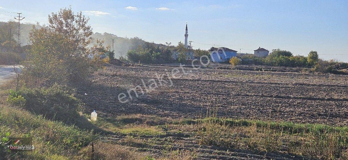 Pehlivanköy Akarca'da Satılık Arsa 1.500 M2 — fotoğraf 23