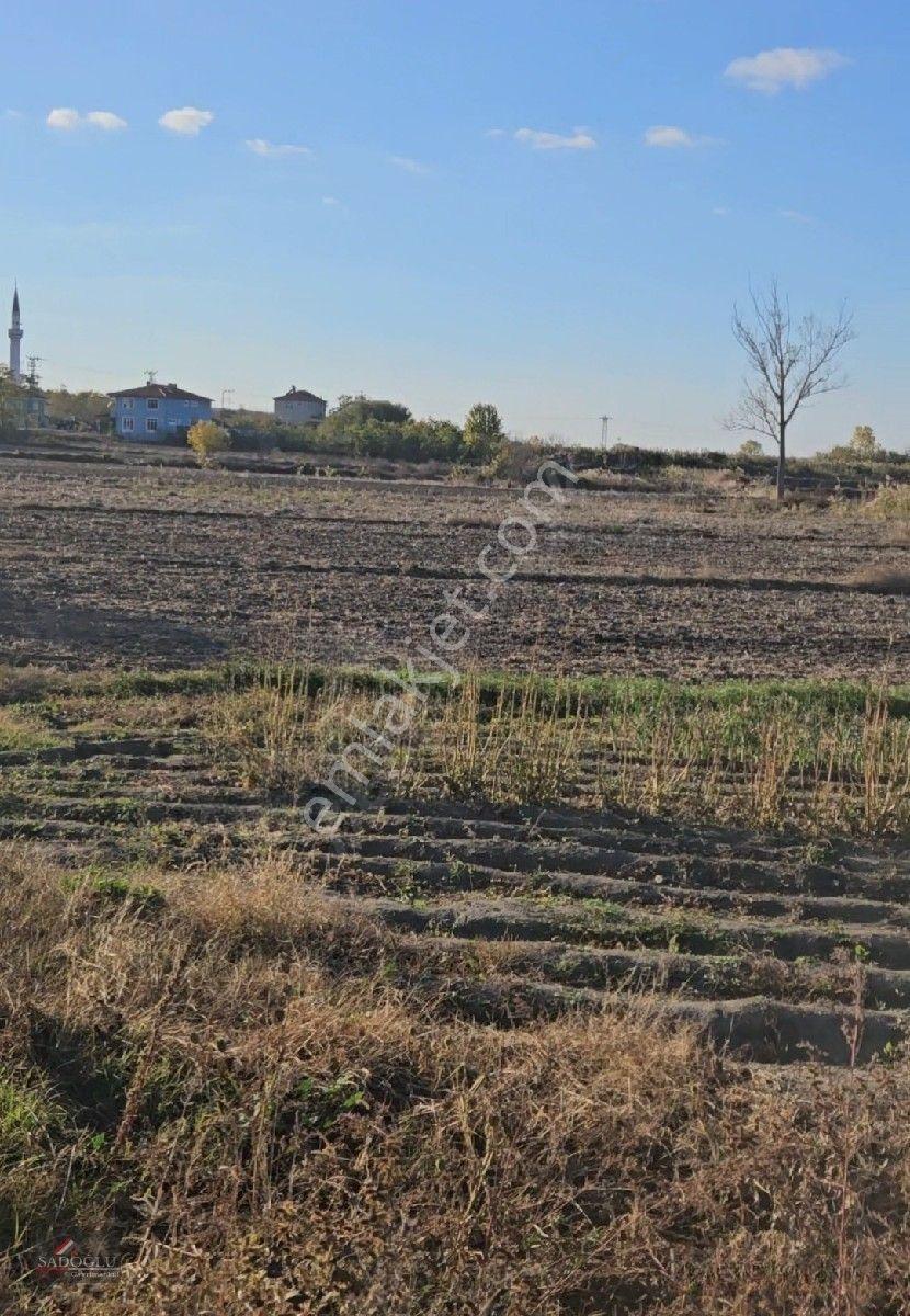 Pehlivanköy Akarca'da Satılık Arsa 1.500 M2 — fotoğraf 27