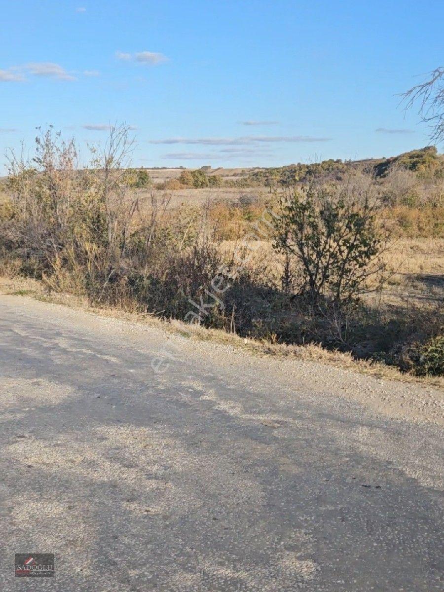 Pehlivanköy Akarca'da Satılık Arsa 1.500 M2 — fotoğraf 29