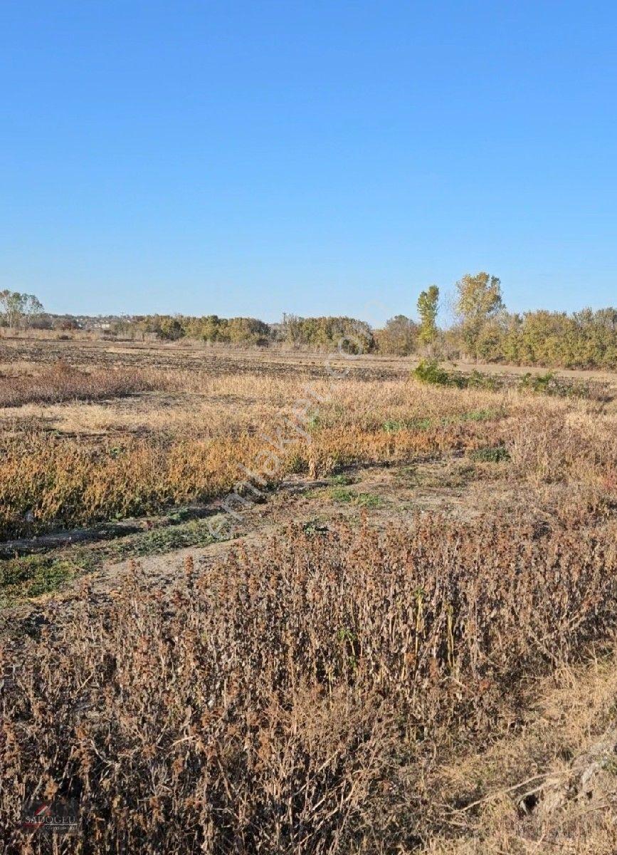 Pehlivanköy Akarca'da Satılık Arsa 1.500 M2 — fotoğraf 30