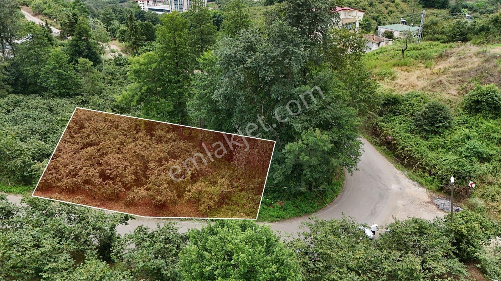 Royal'Den Kavala'Da Satılık 465 M2 Arsa