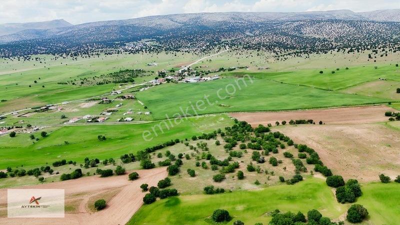 Meram Dağ Evlerine Yakın 5.018 M² Telle Çevrili Yatırım Fırsatı — fotoğraf 6