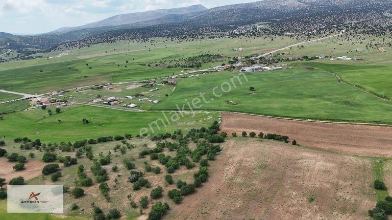 Meram Dağ Evlerine Yakın 5.018 M² Telle Çevrili Yatırım Fırsatı — fotoğraf 7