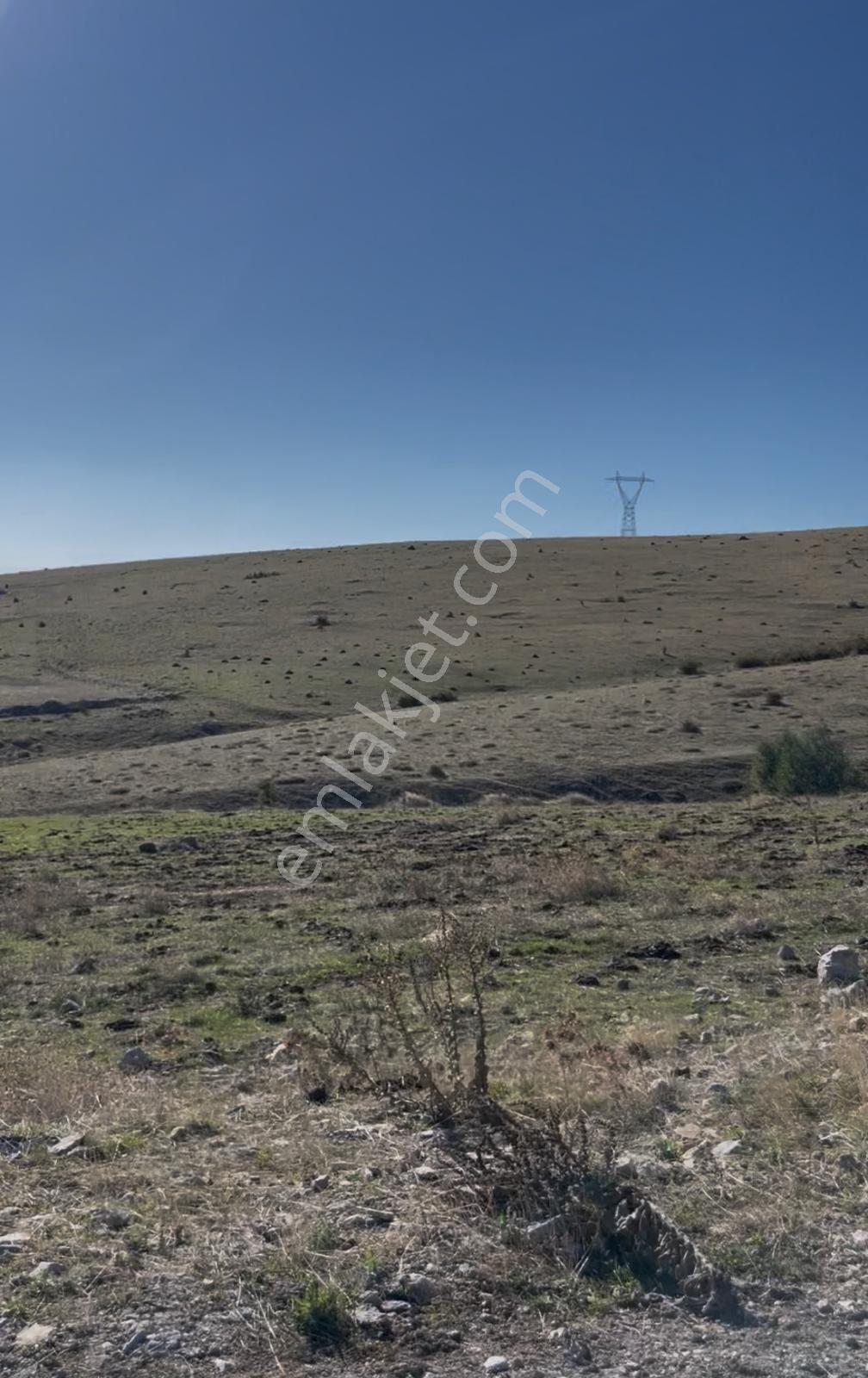 Mabel'den Ges İçin Fırsat — fotoğraf 4