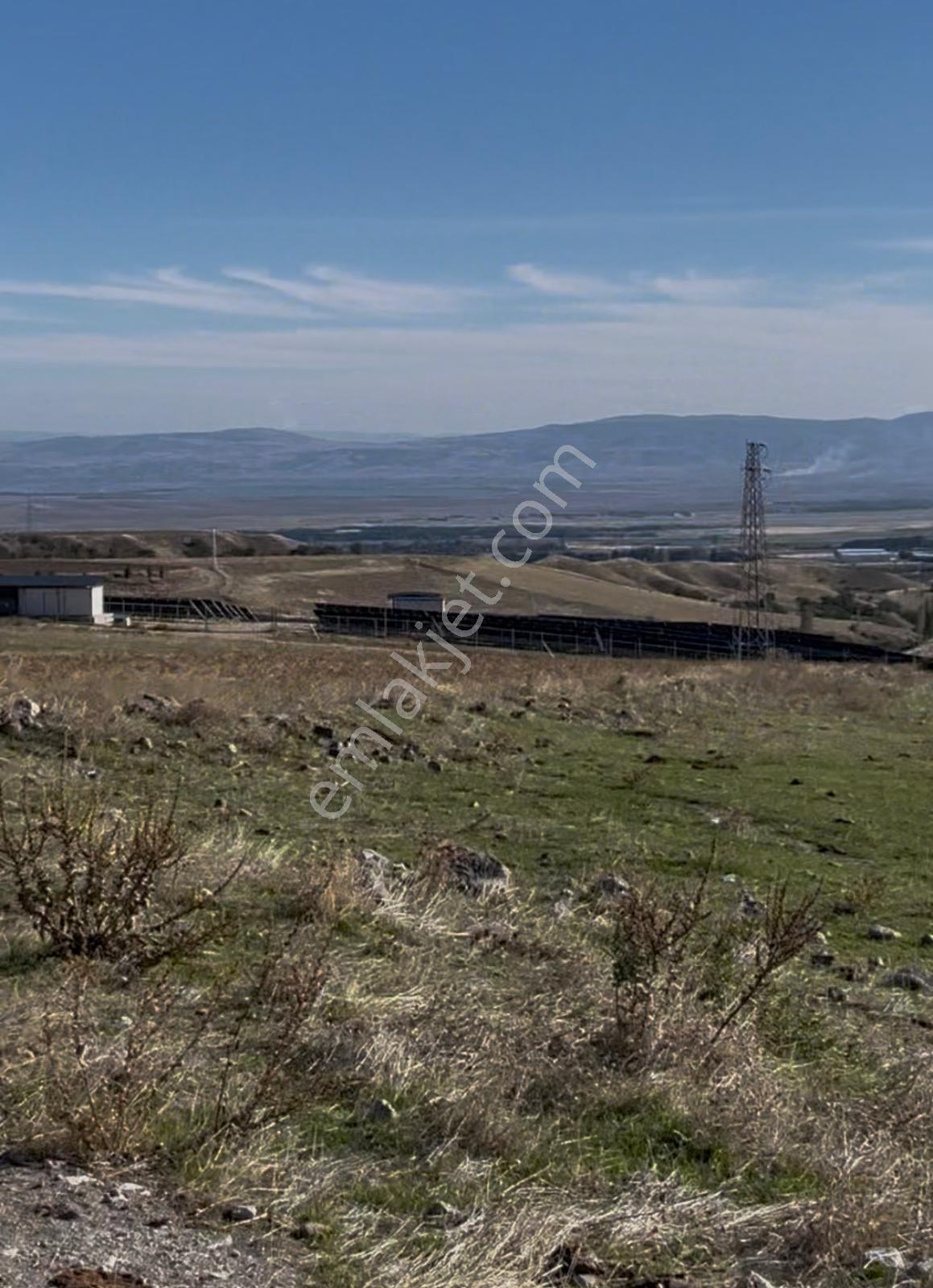 Mabel'den Ges İçin Fırsat — fotoğraf 6
