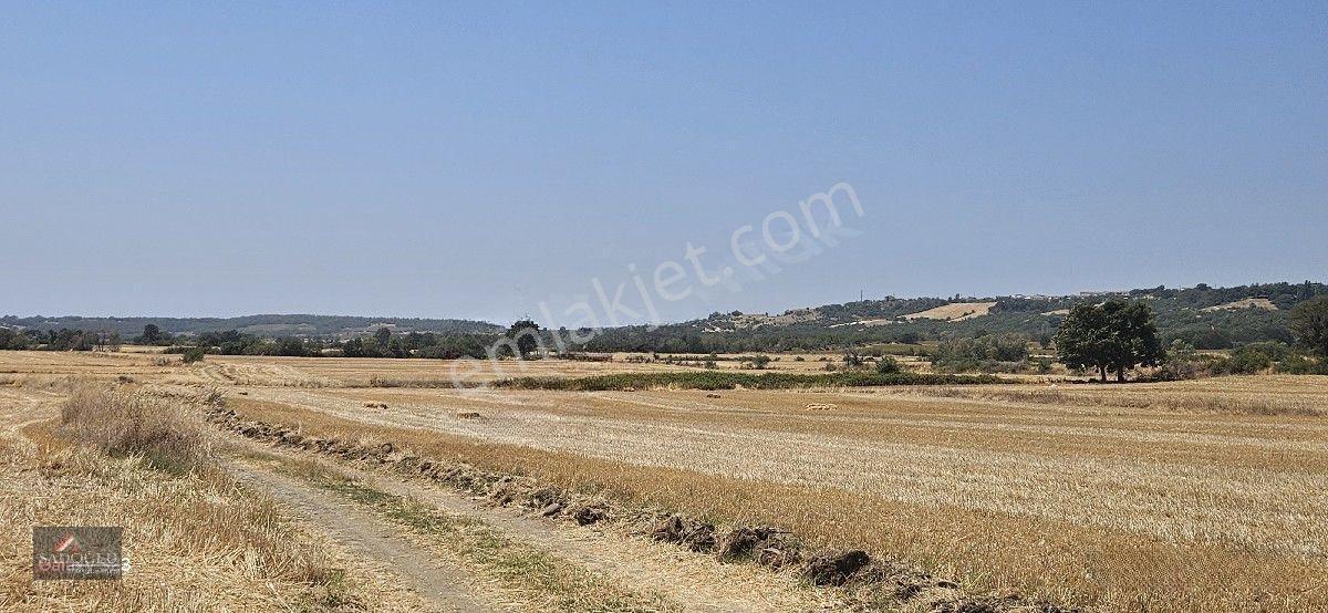Erikli'de 10.500 M2 Satılık — fotoğraf 2