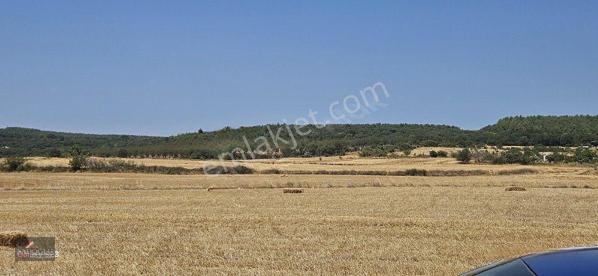 Erikli'de 10.500 M2 Satılık — fotoğraf 3
