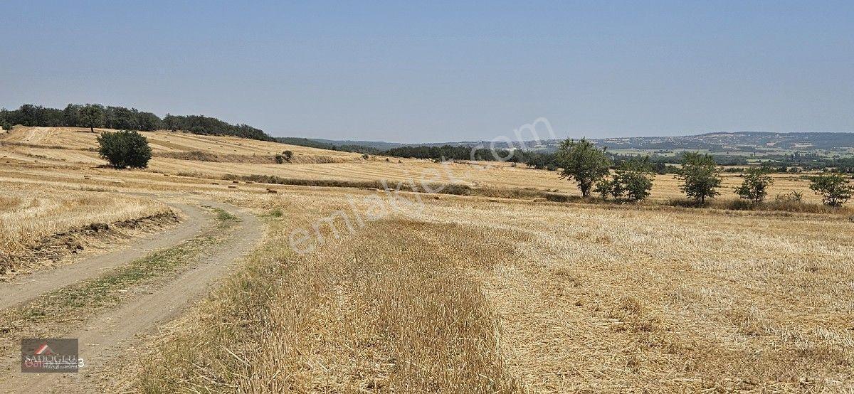 Erikli'de 10.500 M2 Satılık — fotoğraf 4
