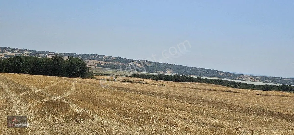 Erikli'de 10.500 M2 Satılık — fotoğraf 5