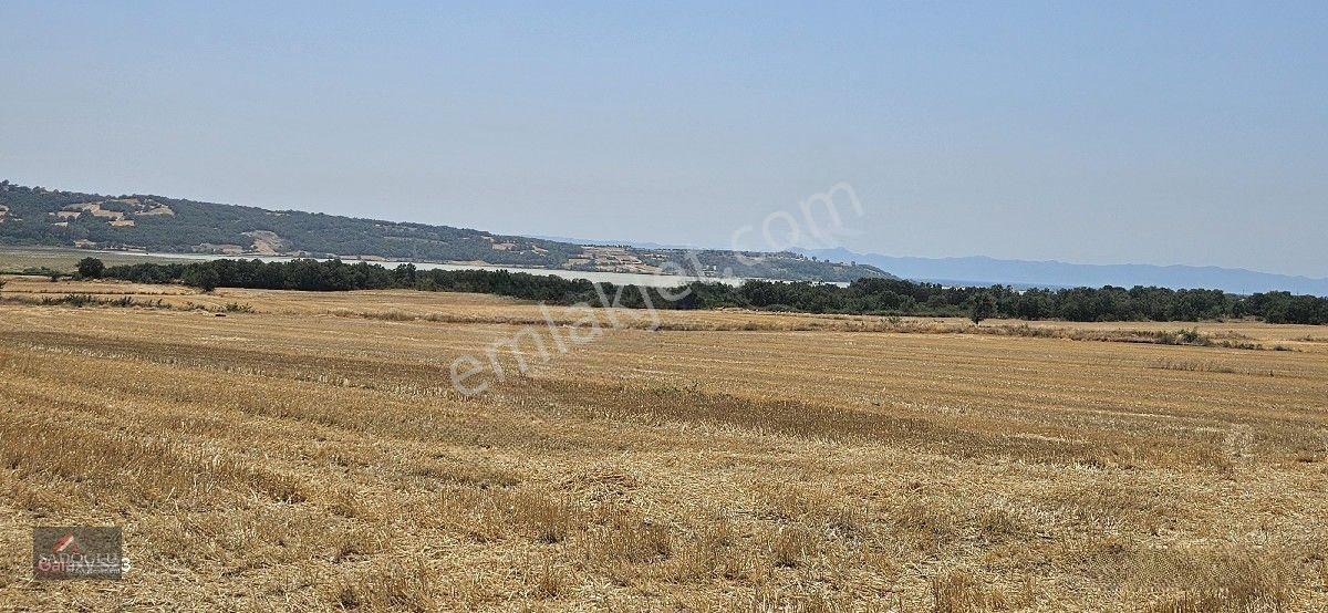 Erikli'de 10.500 M2 Satılık — fotoğraf 6