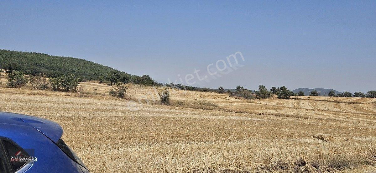 Erikli'de 10.500 M2 Satılık — fotoğraf 7