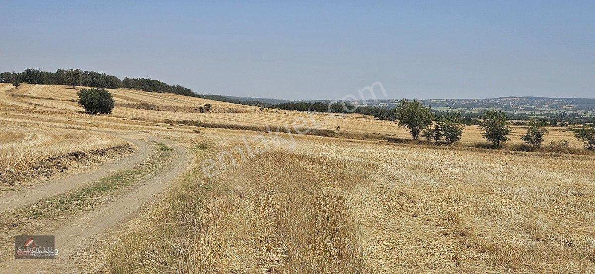 Erikli'de 10.500 M2 Satılık — fotoğraf 8